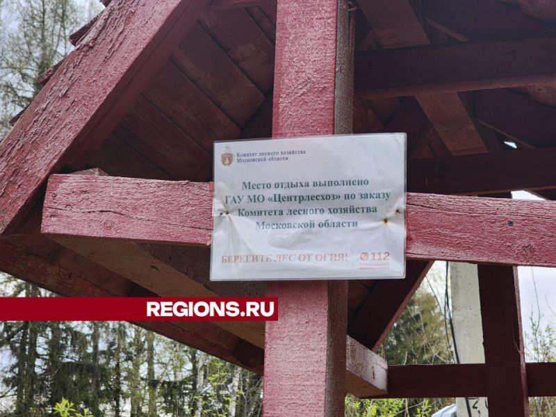 В деревне Пешки Солнечногорска оборудовали беседку, где можно пожарить шашлыки без штрафа новости Солнечногорска 