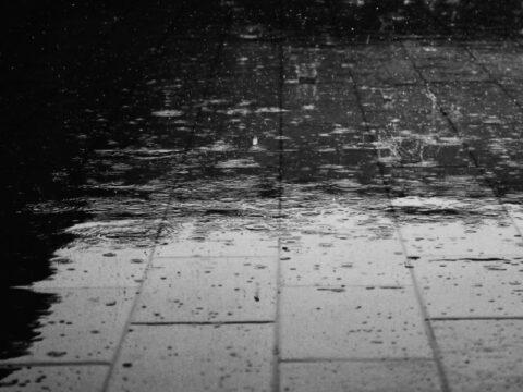 В Солнечногорске отменили субботник из-за проливного дождя новости Солнечногорска 