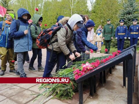 В микрорайоне Тимоново почтили память воинов в преддверии Дня Победы новости Солнечногорска 