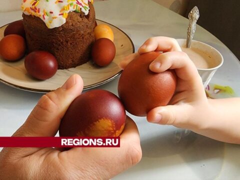 Житель Солнечногорска рассказал, как выиграть в битве яиц на Пасху новости Солнечногорска 